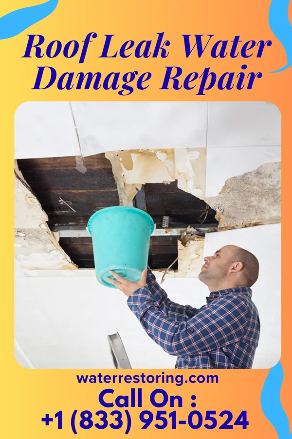 Roof Leak Water Damage Repair in Quintana, TX